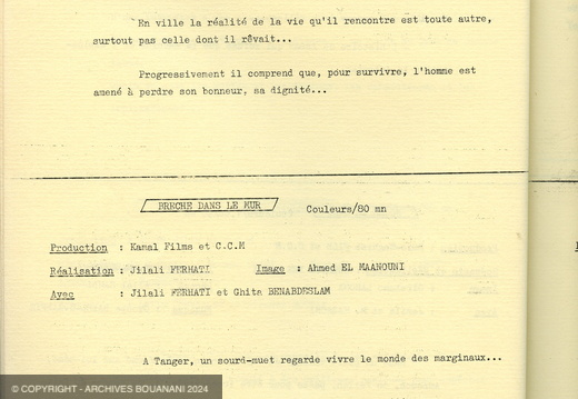 2e festival national du film programme 36