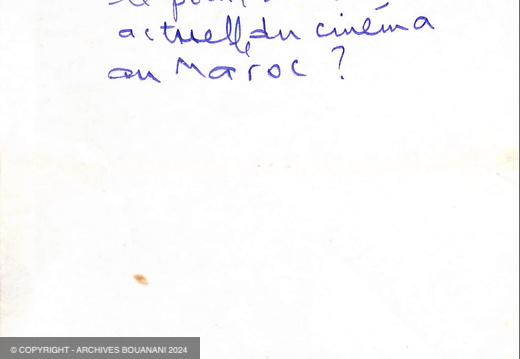 Questions d un journaliste au sujet du Mirage page 5
