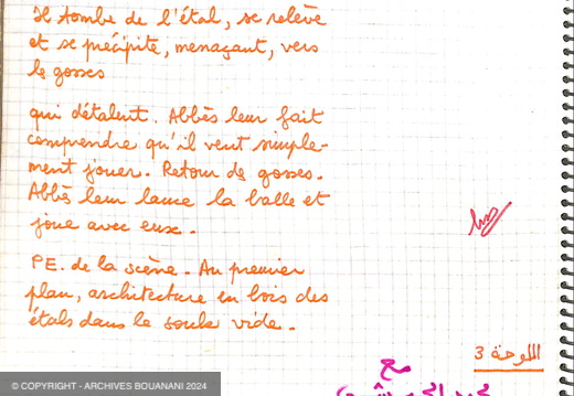 Manuscrit decoupage Mirage cahier vert page 004