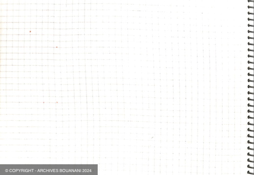 Manuscrit decoupage Mirage cahier vert page 008