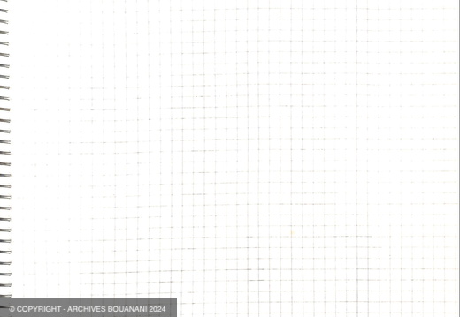 Manuscrit decoupage Mirage cahier vert page 014