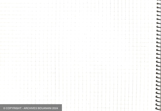 Manuscrit decoupage Mirage cahier vert page 026