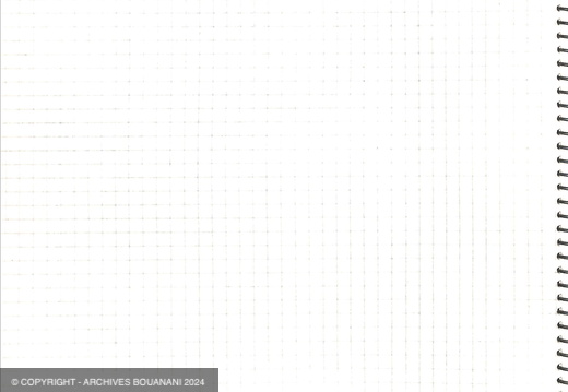 Manuscrit decoupage Mirage cahier vert page 047